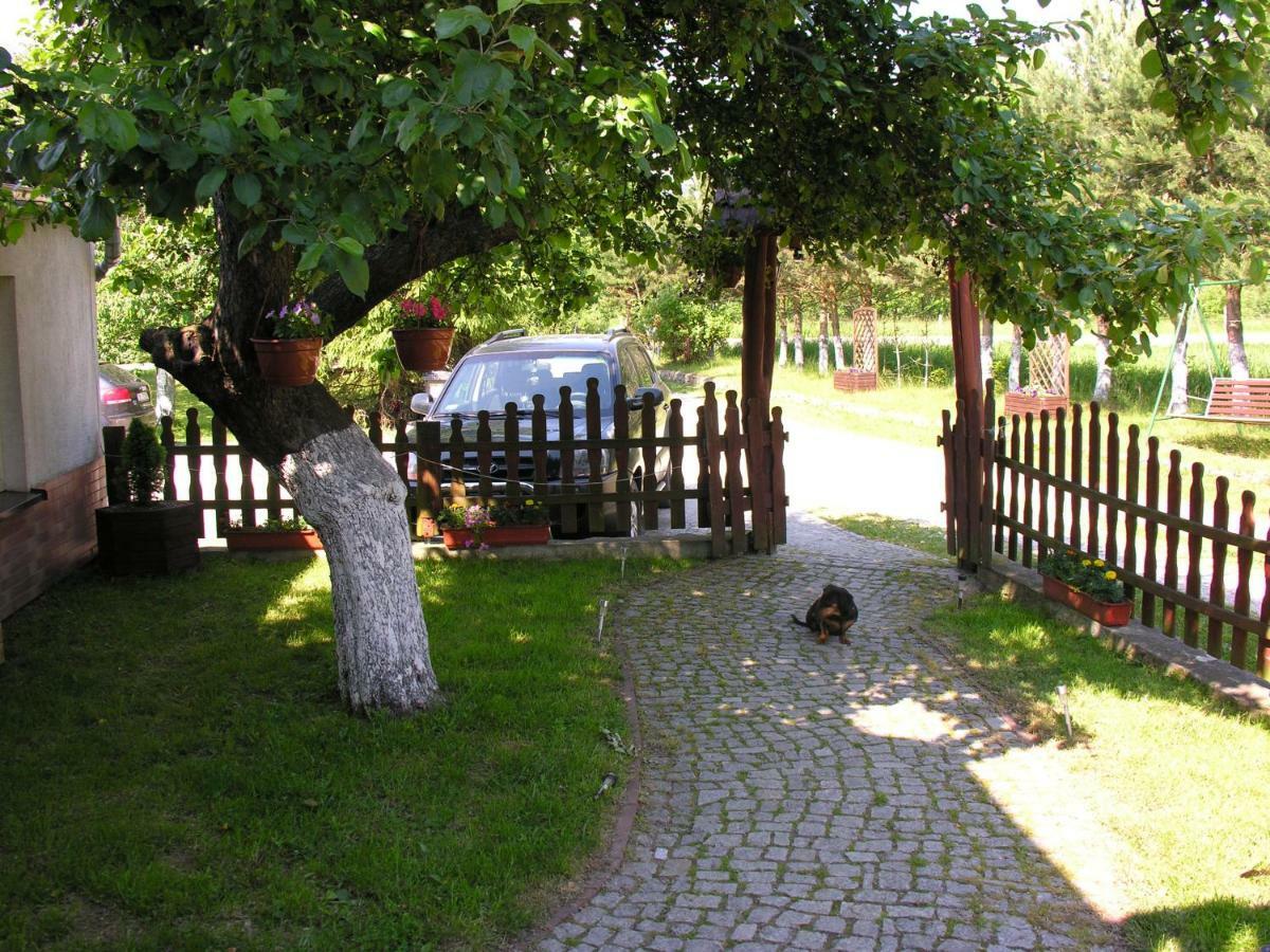 Agroturystyka Pod Sniezna Bystrzyca Klodzka Luaran gambar