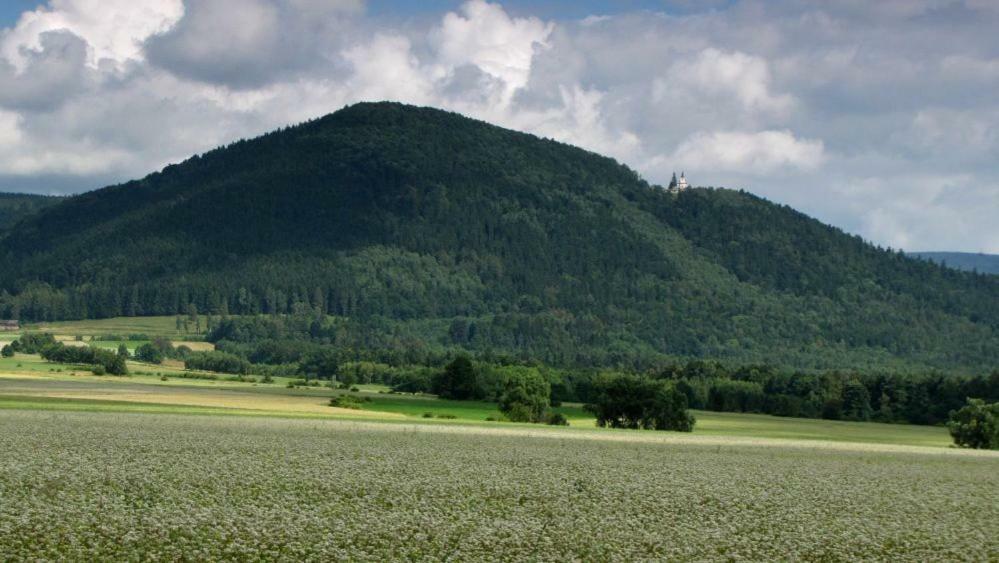 Agroturystyka Pod Sniezna Bystrzyca Klodzka Luaran gambar