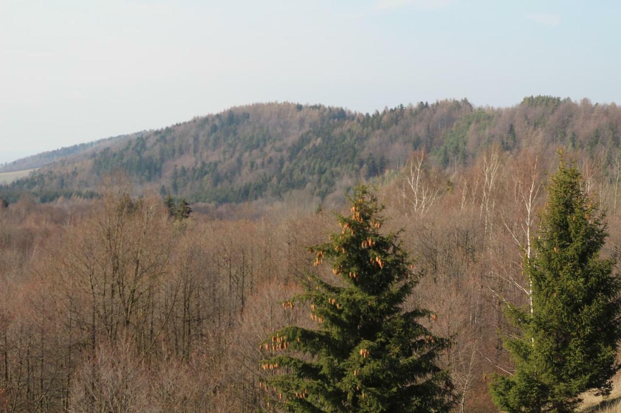 Agroturystyka Pod Sniezna Bystrzyca Klodzka Luaran gambar