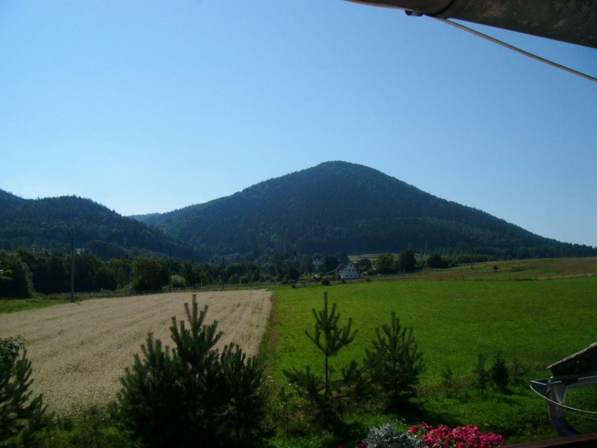 Agroturystyka Pod Sniezna Bystrzyca Klodzka Luaran gambar